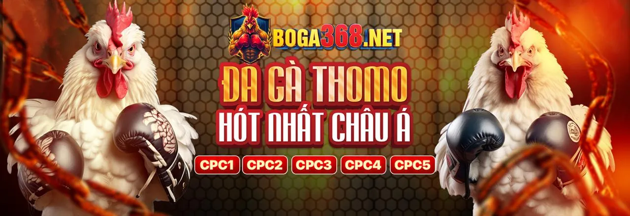 Đá Gà Trực Tuyến 6789Casino